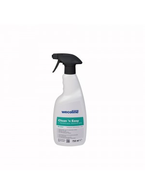 Clean 'n Easy Desinfectie Foamspray 750ml